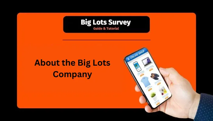 About the Big Lots Company About the Big Lots Company