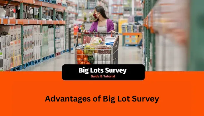 Advantages of Big Lot Survey Advantages of Big Lot Survey